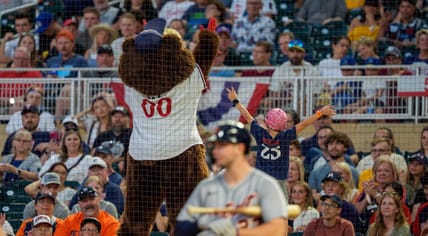 Minnesota Twins fans